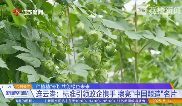 微信截图_20250515105535.png