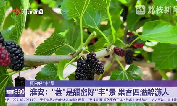 微信截图_20250515105632.png