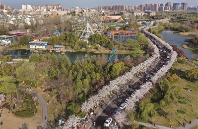 QQ截图20200326075507.png