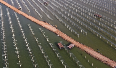 QQ截图20200326075741.png