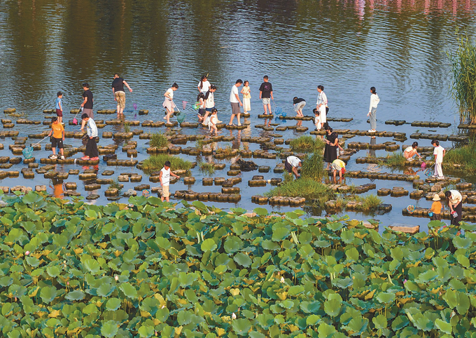 6fef5252.jpg