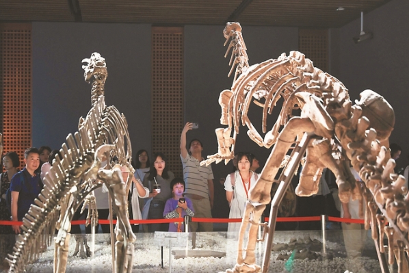 在南京博物院展出的恐龙化石